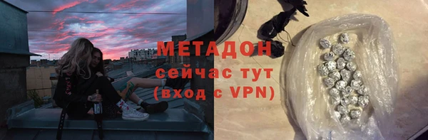 гидра Горняк