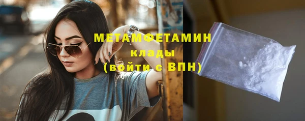 гидра Горняк