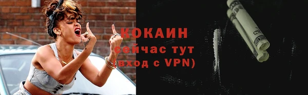 гидра Горняк