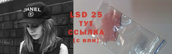 гидра Горняк