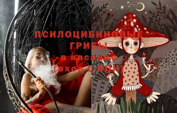 гидра Горняк