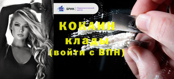 гидра Горняк
